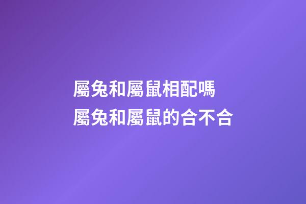 屬兔和屬鼠相配嗎 屬兔和屬鼠的合不合-第1張-觀點-玄機派